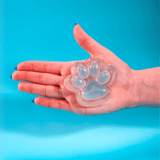 Bohdi Bear Big Squish